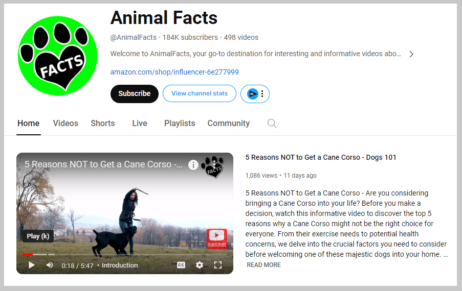 animal facts youtube channel passive income journey